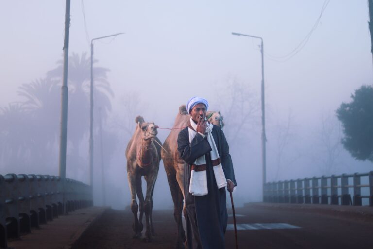 A man guides two camels over a bridge enveloped in morning fog.